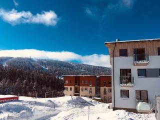 Apartmán Alfa Klínovec - Loučná pod Klínovcem - 3