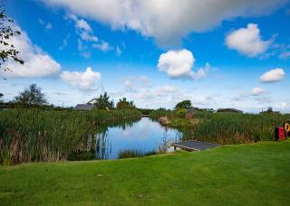 Seven Springs - Llanon - 9