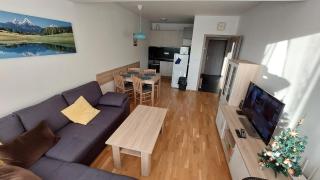 Apartment Iva - Černý Důl - 8