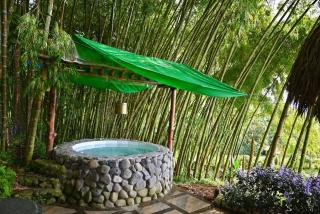 Bambu chalet - 1