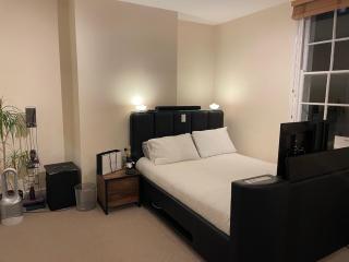 Private king room with huge en-suite in shared house in Marylebone - Londra - 9