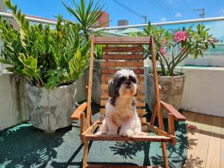 Areias do Mar | 2 Quartos Garden Familia A113 - 9