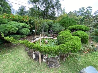 SeeU Coffee and B&B - 1