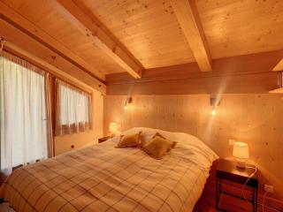 Duplex 4 pièces avec parking et wifi au pied des pistes - FR-1-560-83 - 1