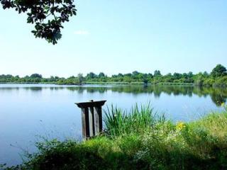 Maison rénovée au cœur du Parc Naturel de la Brenne avec jardin et terrasse - FR-1-591-44 - Saint-Aigny - 8