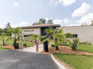 Villa Contemporaine avec Spa, Sauna, Piscine et Île Privative près de Nantes - FR-1-306-866 - Ligné - 2