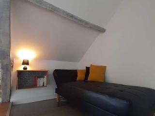 Évasion champêtre entre Ancenis et Nantes - Maison rénovée avec jardin clos, pêche et animaux - FR-1-306-873 - 8