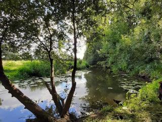 Évasion champêtre entre Ancenis et Nantes - Maison rénovée avec jardin clos, pêche et animaux - FR-1-306-873 - Vallons-de-l'Erdre - 5
