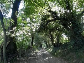 Évasion champêtre entre Ancenis et Nantes - Maison rénovée avec jardin clos, pêche et animaux - FR-1-306-873 - Vallons-de-l'Erdre - 4