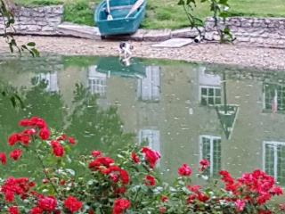 Maison de plain-pied avec jeux, coin pêche et musée du vélo à proximité - FR-1-410-136 - 5