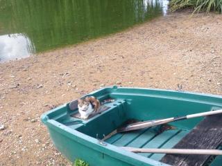 Maison de plain-pied avec jeux, coin pêche et musée du vélo à proximité - FR-1-410-136 - 3