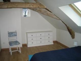 Gîte spacieux rénové en 1850 avec grand jardin, terrasse, jeux pour enfants et équipements modernes ! - FR-1-410-172 - Pontvallain - 2