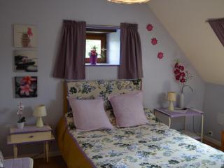 Charme et Authenticité en Forêt Maine Normandie : Demeure Rénovée avec Jardin, Idéale pour Séjour Détente - FR-1-410-186 - 8