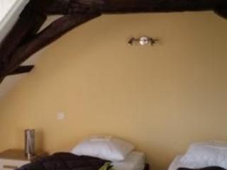 Fermette charmante, nature préservée, forêt de Bercé, détente, cheminée, grand jardin, proche Le Mans - FR-1-410-210 - 4