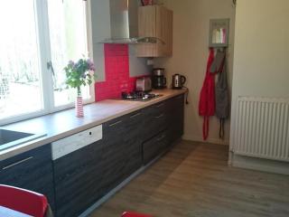 Gîte spacieux avec salle de jeux, tennis et cheminée, idéal pour familles et amis jusqu'à 15 pers. - FR-1-410-223 - Saint-Jean-de-la-Motte - 8