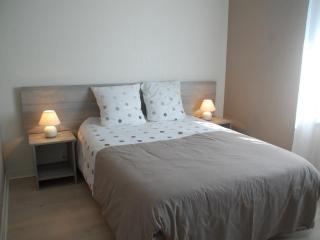 Gîte spacieux avec salle de jeux, tennis et cheminée, idéal pour familles et amis jusqu'à 15 pers. - FR-1-410-223 - Saint-Jean-de-la-Motte - 4