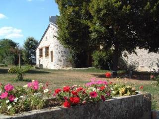 Gîte de charme rénové avec jardin, vélos et activités près de la Sarthe - FR-1-410-191 - Souvigné-sur-Sarthe - 9