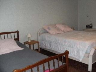 Charmante longère avec grand terrain au bord de la forêt de Bercé, idéale pour des vacances paisibles - FR-1-410-200 - 5