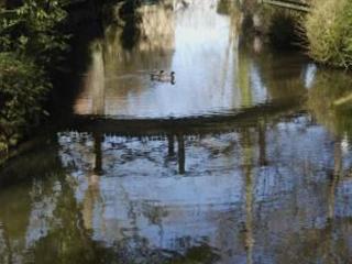 Gîte charmant avec piscine chauffée, tennis et jardin près de Beaumont-sur-Sarthe - FR-1-410-214 - Maresché - 5
