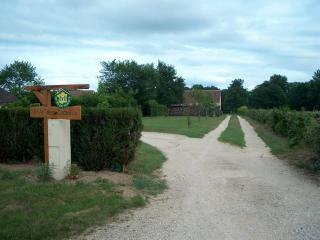 Gîte rural de charme avec sauna, forêt à proximité et prairie avec chevaux - FR-1-590-119 - Vitry-aux-Loges - 8
