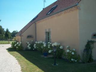 Gîte rural de charme avec sauna, forêt à proximité et prairie avec chevaux - FR-1-590-119 - Vitry-aux-Loges - 7