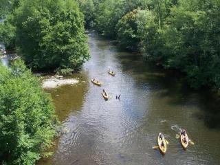 Maison À Proximité De L'Allier Avec Jardin En Terrasses, Près De Chilhac Et Langeac - FR-1-582-7 - 9