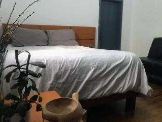 Departamento en Colonia Roma con 2 habitaciones - Città del Messico - 2