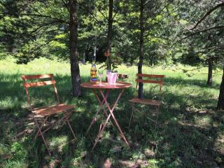Gîte Nature au Chambon-sur-Lignon: Terrasse, Wifi, Proche Activités et Commerces - FR-1-582-137 - 7