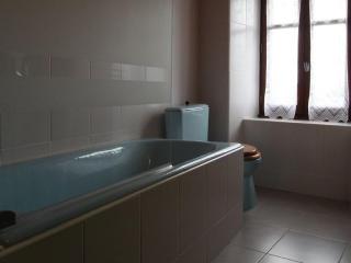 Gîte spacieux et rénové avec équipements modernes, terrasse et vaste jardin près de Gévaudan et Margeride - FR-1-582-301 - 9