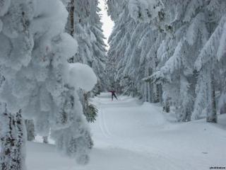 Gîte spacieux et rénové avec équipements modernes, terrasse et vaste jardin près de Gévaudan et Margeride - FR-1-582-301 - 5