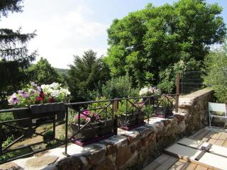 Grande maison au cœur d'un village historique avec terrasse et WIFI inclus - FR-1-582-308 - Saint-Vidal - 6