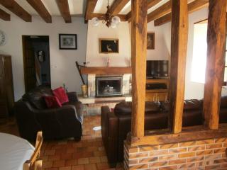 Gîte spacieux avec billard, cheminée & terrasse, près de la forêt de Bercé, Wi-Fi & activités nature - FR-1-410-337 - Thoiré-sur-Dinan - 7