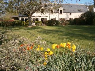 Gîte spacieux avec billard, cheminée & terrasse, près de la forêt de Bercé, Wi-Fi & activités nature - FR-1-410-337 - Thoiré-sur-Dinan - 9
