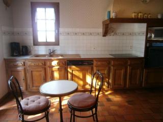 Gîte spacieux avec billard, cheminée & terrasse, près de la forêt de Bercé, Wi-Fi & activités nature - FR-1-410-337 - Thoiré-sur-Dinan - 4