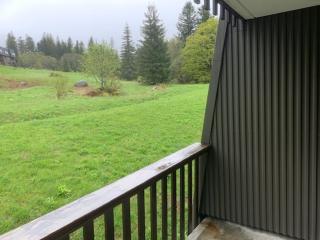 Appartement 2** proche pistes avec parking - 5 couchages - Mont-Dore - FR-1-415-114 - Le Mont-Dore - 8