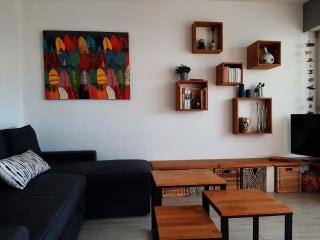 Appartement avec terrasses ensoleillées et parking à Ciboure - FR-1-239-651 - Ciboure - 3