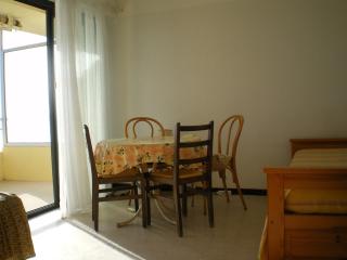 Studio en bord de mer au Lavandou avec terrasse et vue imprenable - FR-1-308-170 - Le Lavandou - 2