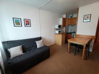 Studio confortable à La Pierre St Martin, proche des pistes, avec loggia et ascenseur. - FR-1-602-64 - Arette - 0