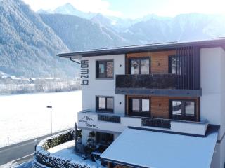 Holiday flat near four ski lifts in Mayrhofen - Mayrhofen - 5