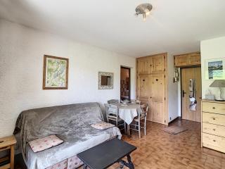 Studio cosy au pied des pistes, vue Mont Blanc - FR-1-560-55 - 5