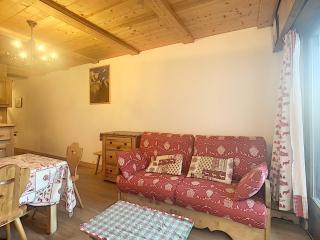 Studio cosy avec cabine, pied des pistes à Combloux, balcon, casier à skis, équipements modernes - FR-1-560-56 - 3