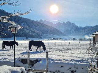 Apartmenthaus Edelweiss in Gosau - Gosau - 8