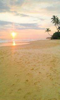 Jungle view one bedroom apartment - 5