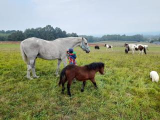 Agroturystka Stylowy Apartament nad Stajnią - 9
