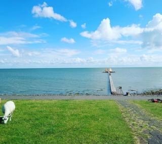 De Oostkamer; Eiland appartement naast natuurgebied Boschplaat - Oosterend - 6