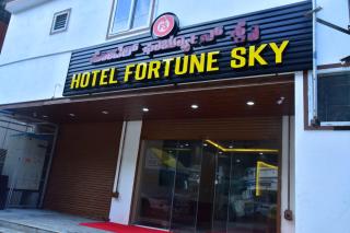 hotel fortune sky - 8