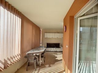 Appartement F2 avec terrasse, clim, parking privé, proche centre-ville et thermes, animaux acceptés - FR-1-451-135 - 1