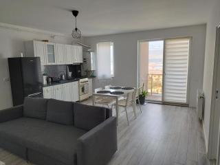 Nordic style Apartaments Floresti - Floreşti - 0