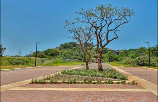 Zimbali Lakes Boulevard Suites 239 - Ballito - 6