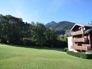 Charmant appartement 4 pers. près des pistes et commerces, balcon Est, confort moderne ללא מקהאוי - FR-1-498-50 - Bernex - 2